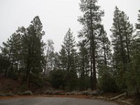 Chilao Picnic Area - Main Lot-11