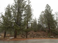 Chilao Picnic Area - Main Lot-12