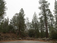 Chilao Picnic Area - Main Lot-13