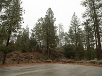 Chilao Picnic Area - Main Lot-15