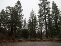 Chilao Picnic Area - Main Lot-5