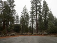 Chilao Picnic Area - Main Lot-6