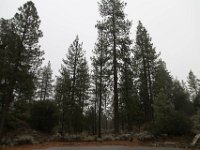 Chilao Picnic Area - Main Lot-7