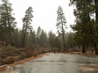 Chilao Picnic Area - - Angeles National Forest