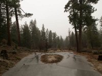 Chilao Picnic Area - Site 5-11