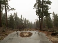 Chilao Picnic Area - Site 5-12