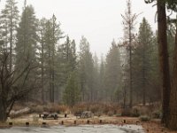 Chilao Picnic Area - Site 5-14