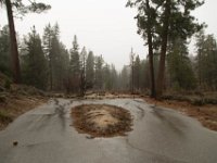 Chilao Picnic Area - Site 5-17