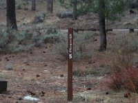 Chilao Picnic Area - Site 5-18