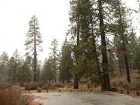 Chilao Picnic Area - Site 5-2