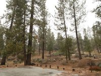 Chilao Picnic Area - Site 5-3