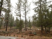 Chilao Picnic Area - Site 5-4