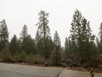 Chilao Picnic Area - Site 5-7