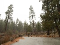 Chilao Picnic Area - Site 5-8