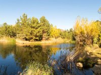 Disney Ranch - Pine Lake-10