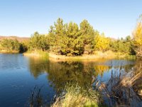 Disney Ranch - Pine Lake-11