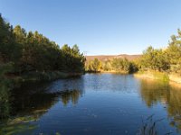 Disney Ranch - Pine Lake-12