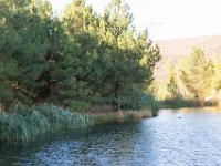 Disney Ranch - Pine Lake-13