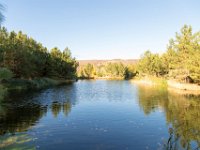 Disney Ranch - Pine Lake-14