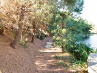 Disney Ranch - Pine Lake-15