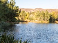 Disney Ranch - Pine Lake-17