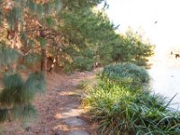 Disney Ranch - Pine Lake-18