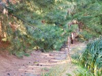 Disney Ranch - Pine Lake-19