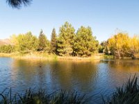 Disney Ranch - Pine Lake-20