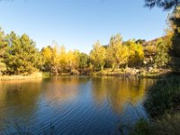 Disney Ranch - Pine Lake-22