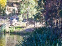 Disney Ranch - Pine Lake-23