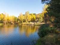 Disney Ranch - Pine Lake-24