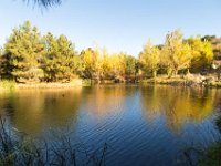 Disney Ranch - Pine Lake-25