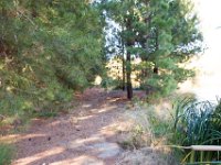 Disney Ranch - Pine Lake-26