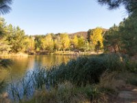 Disney Ranch - Pine Lake-28