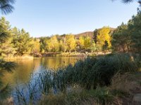 Disney Ranch - Pine Lake-29