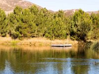 Disney Ranch - Pine Lake-30