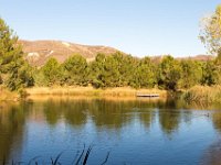 Disney Ranch - Pine Lake-31