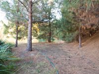 Disney Ranch - Pine Lake-32