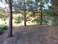 Disney Ranch - Pine Lake-33