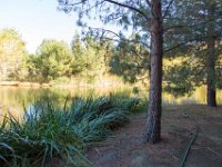 Disney Ranch - Pine Lake-34