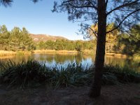 Disney Ranch - Pine Lake-36