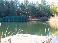 Disney Ranch - Pine Lake-40