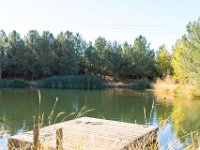 Disney Ranch - Pine Lake-41