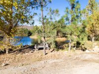 Disney Ranch - Pine Lake-6