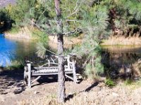 Disney Ranch - Pine Lake-7