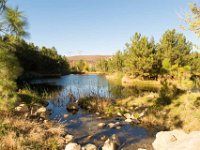 Disney Ranch - Pine Lake-8