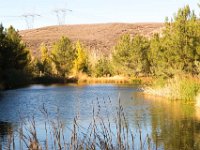 Disney Ranch - Pine Lake-9