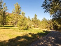 Disney Ranch - Piney Woods-21