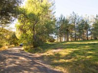 Disney Ranch - Piney Woods-29