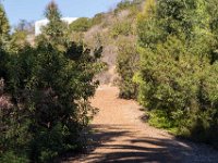 Griffith Park - Cedar Grove-10